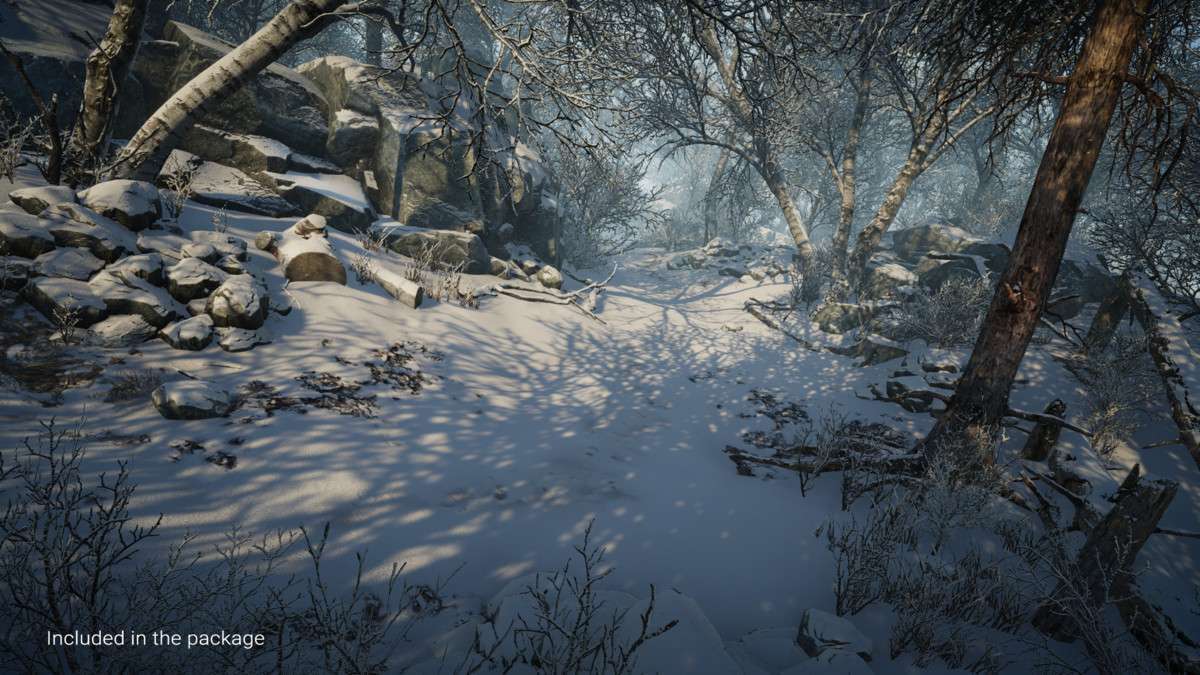 Winter Environment – Nature Pack Screenshot {loop_index}
