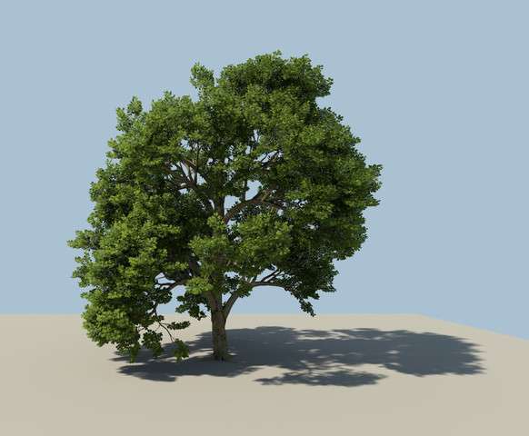 Bakery – GPU Lightmapper Screenshot {loop_index}