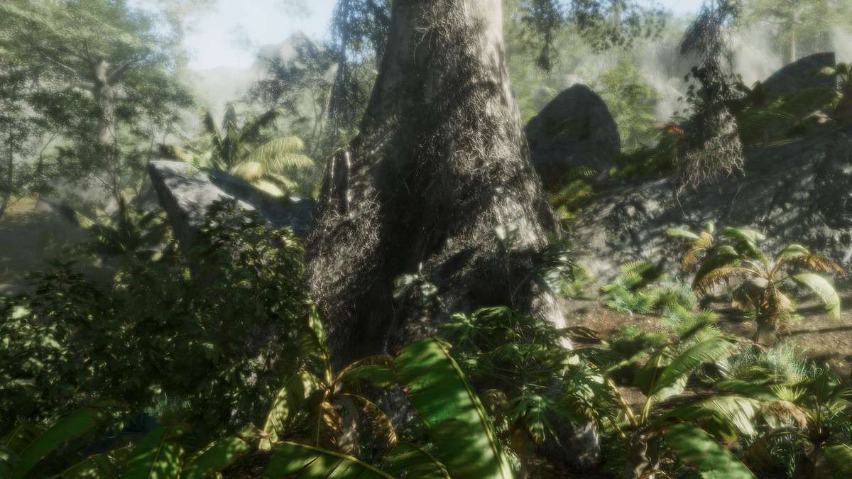 Tropical Forest Pack Screenshot {loop_index}