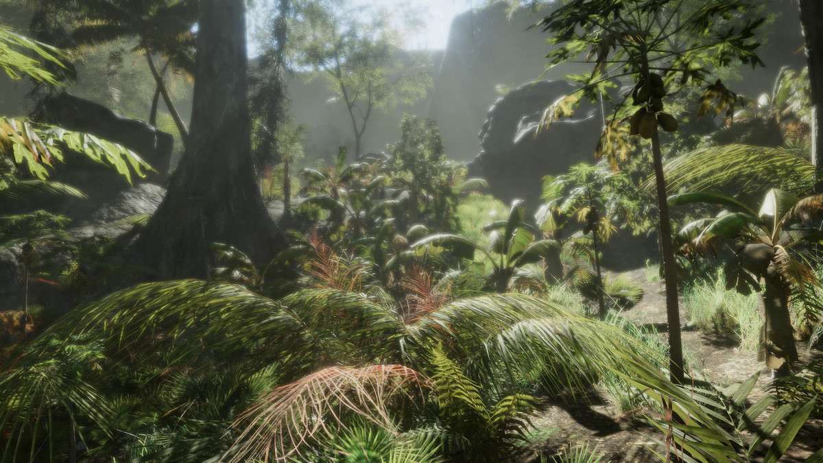 Tropical Forest Pack Screenshot {loop_index}