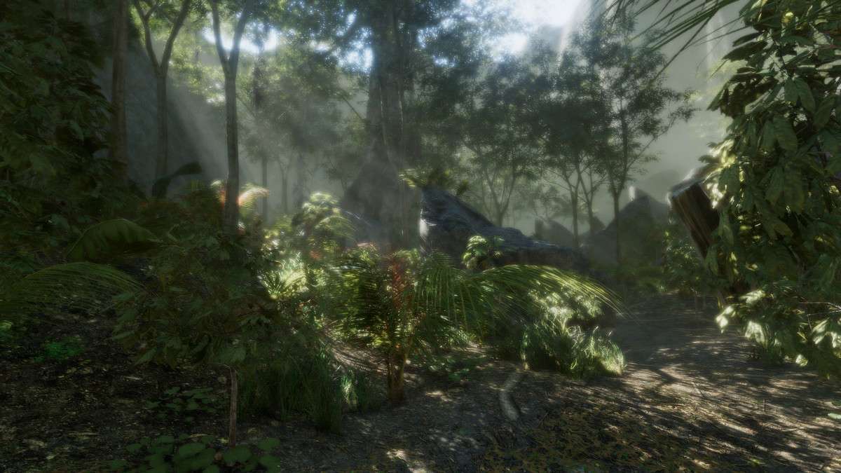 Tropical Forest Pack Screenshot {loop_index}