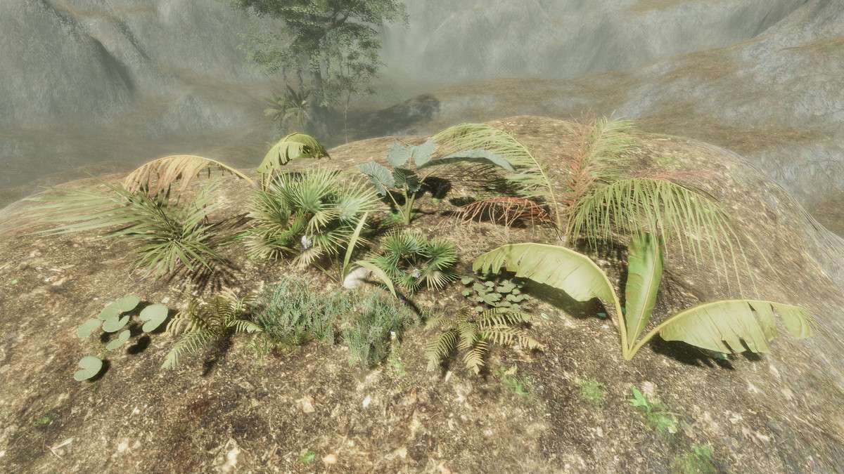 Tropical Forest Pack Screenshot {loop_index}