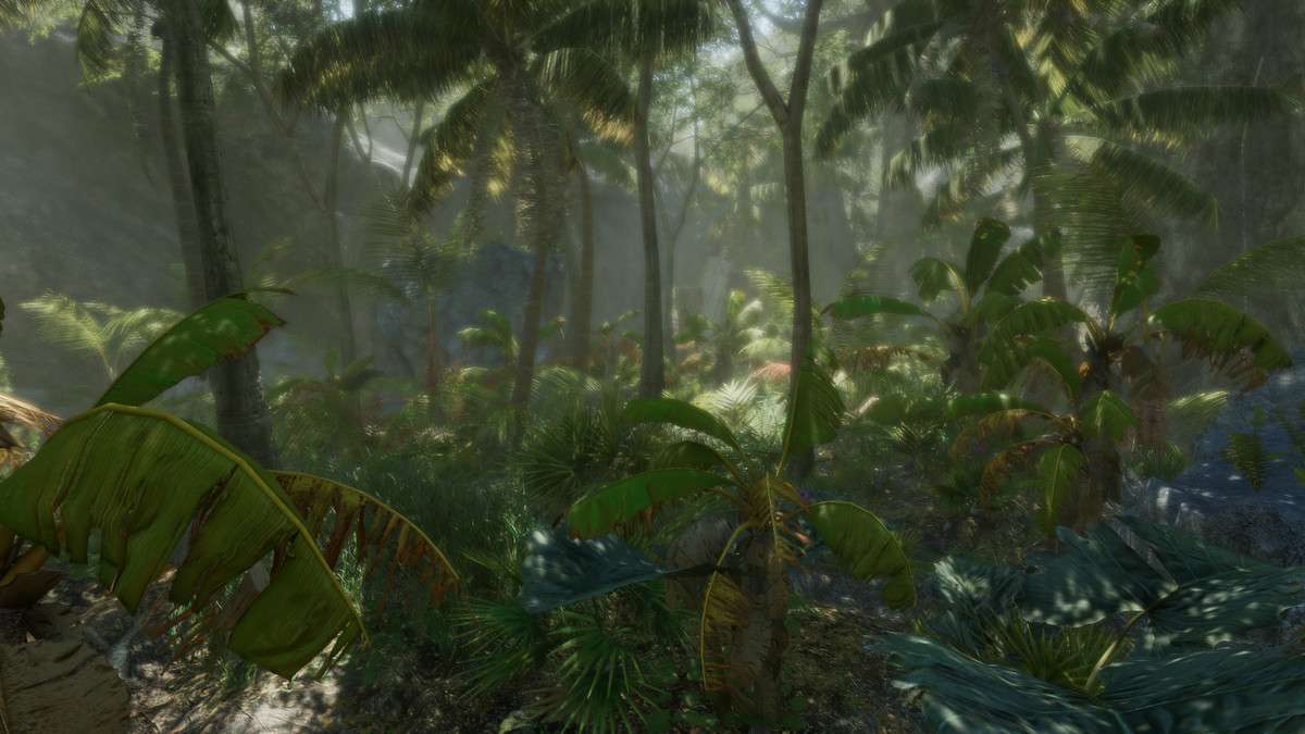 Tropical Forest Pack Screenshot {loop_index}