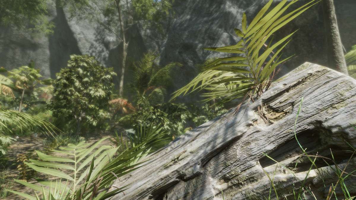 Tropical Forest Pack Screenshot {loop_index}