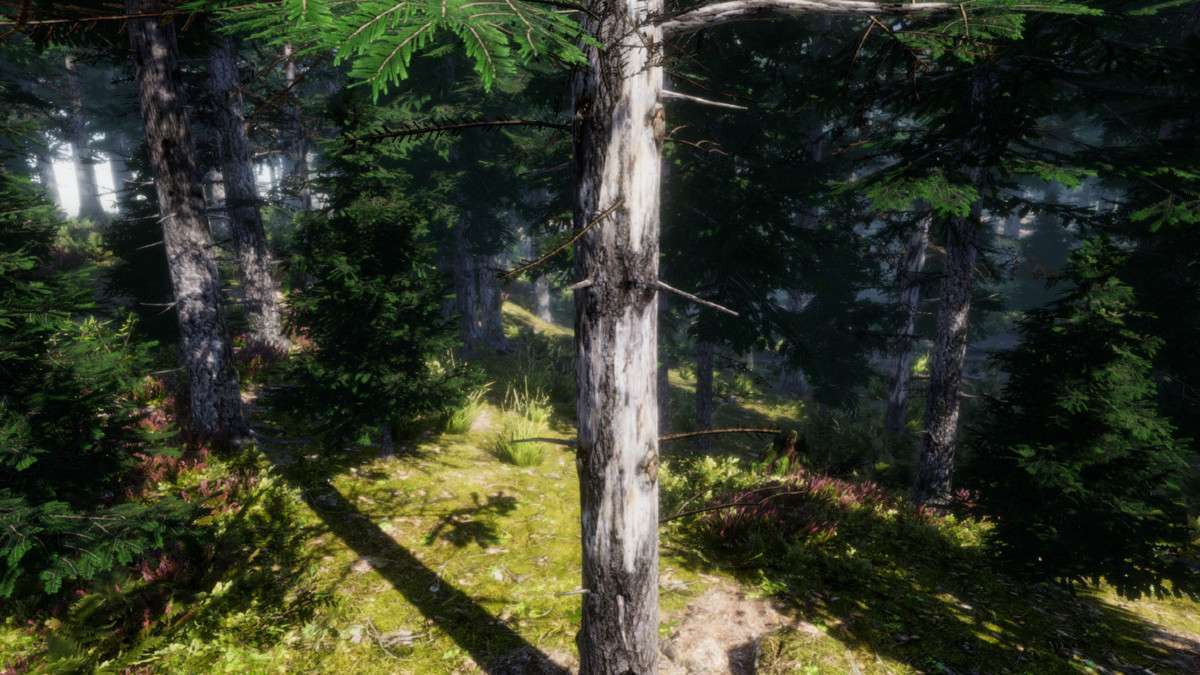 Mountain Trees – Dynamic Nature Screenshot {loop_index}