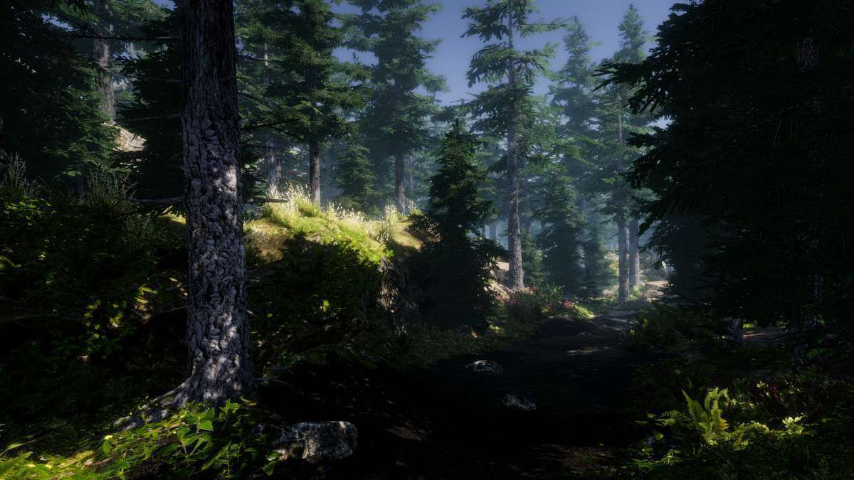 Mountain Trees – Dynamic Nature Screenshot {loop_index}