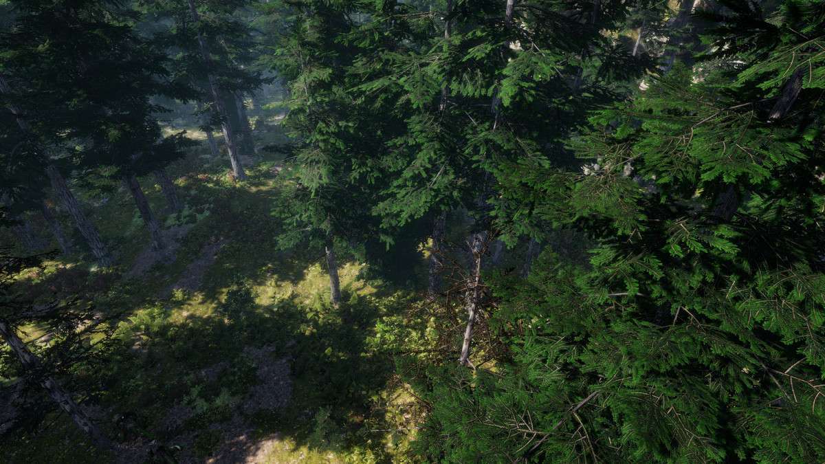 Mountain Trees – Dynamic Nature Screenshot {loop_index}