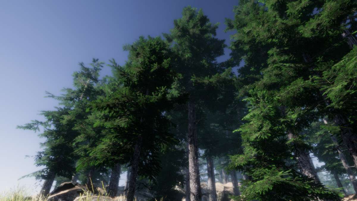 Mountain Trees – Dynamic Nature Screenshot {loop_index}