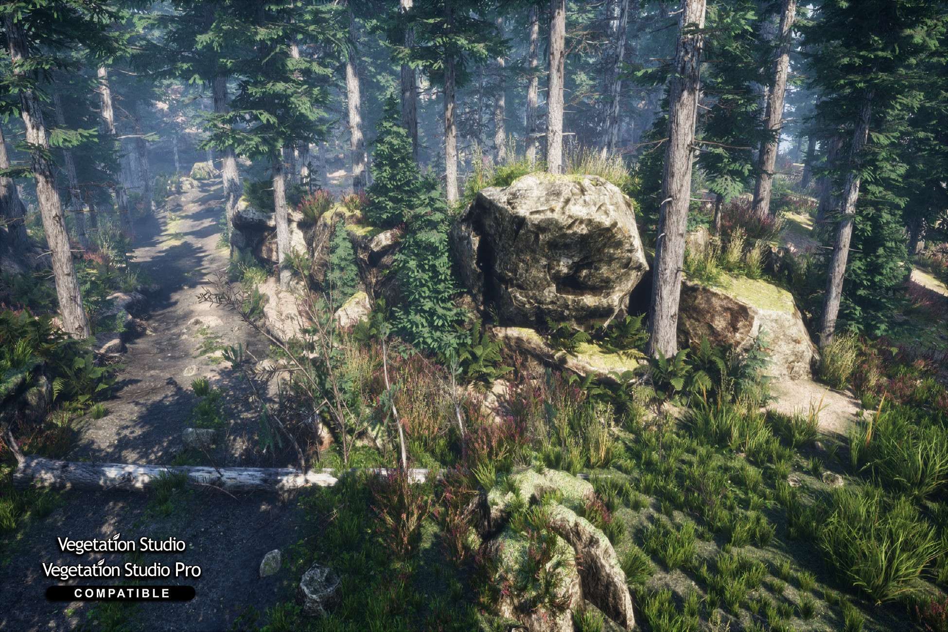 Mountain Trees – Dynamic Nature Free Download