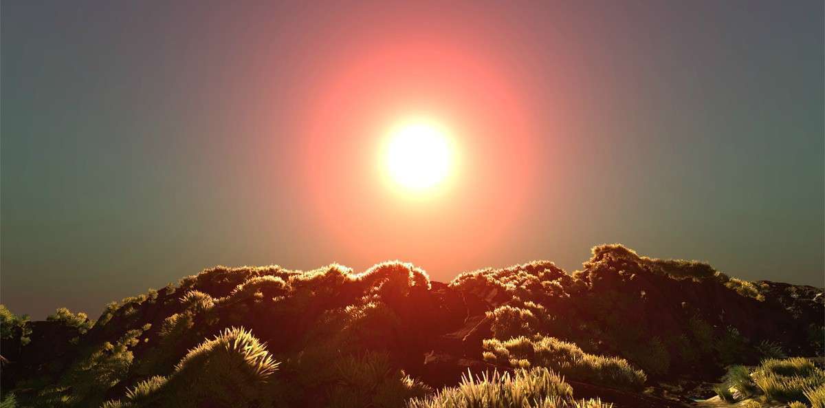Infini GRASS GPU Vegetation Screenshot {loop_index}