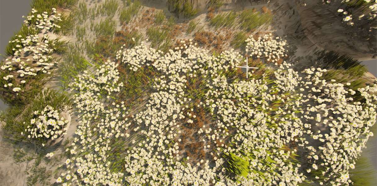 Infini GRASS GPU Vegetation Screenshot {loop_index}