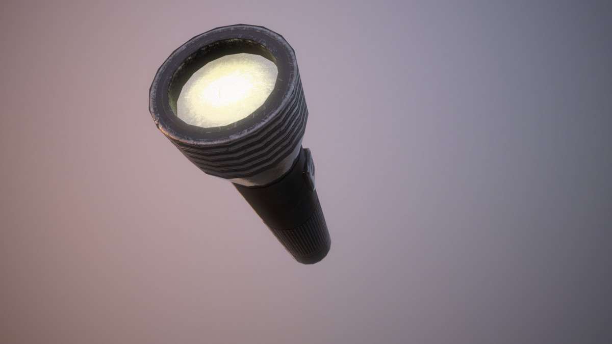 Flashlight Screenshot {loop_index}
