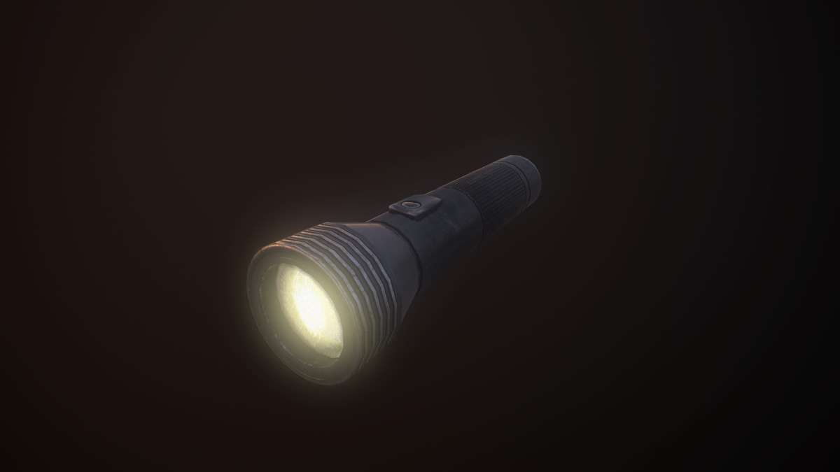 Flashlight Screenshot {loop_index}