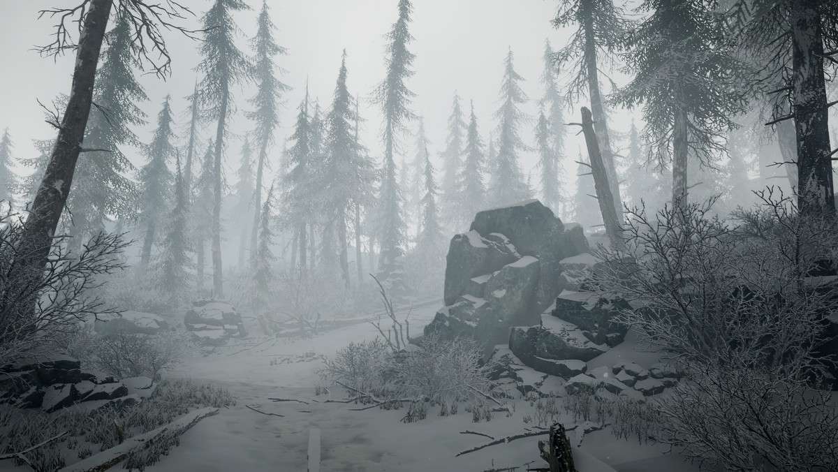 Realistic Snow and Fog FX Screenshot {loop_index}