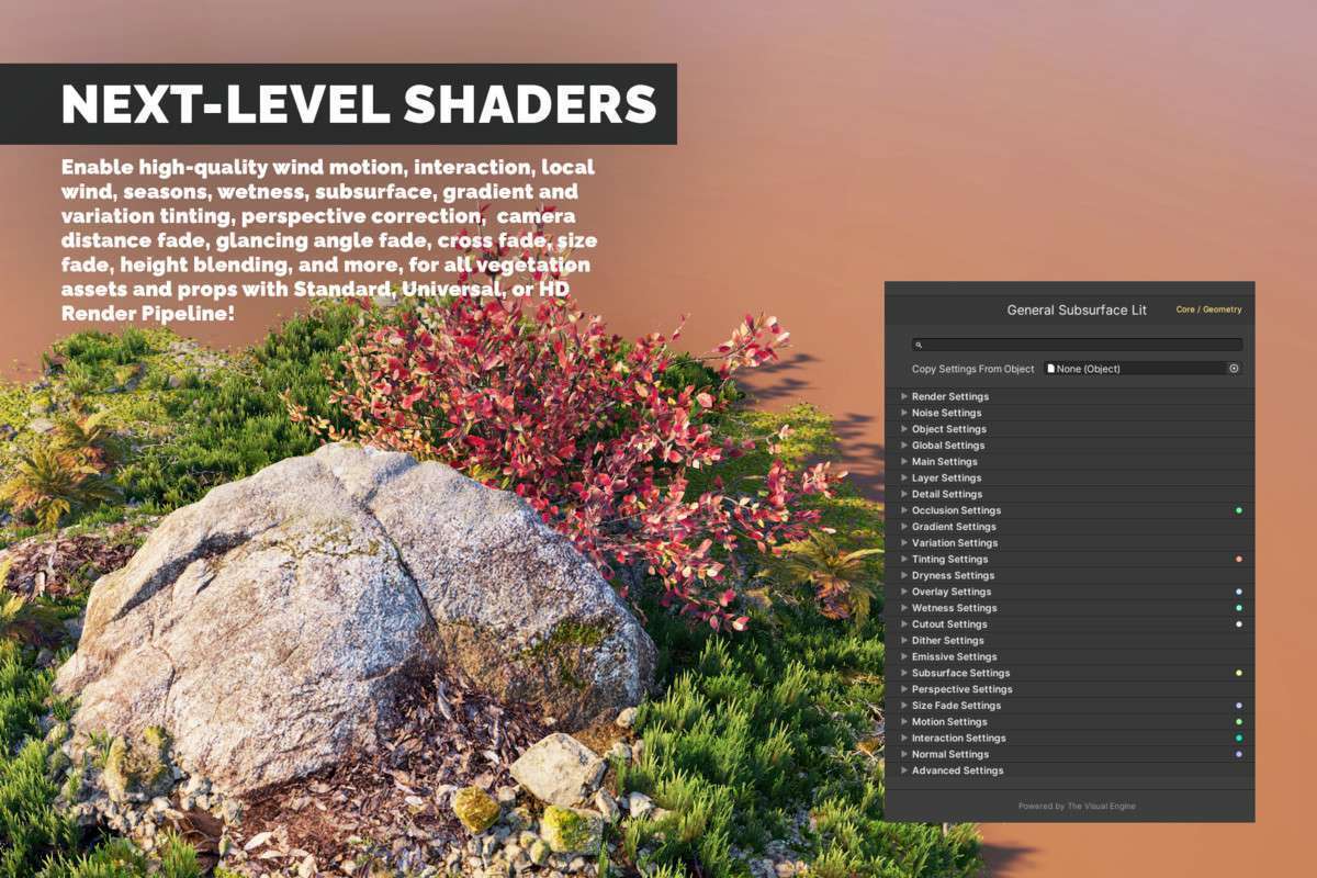 The Visual Engine Screenshot {loop_index}