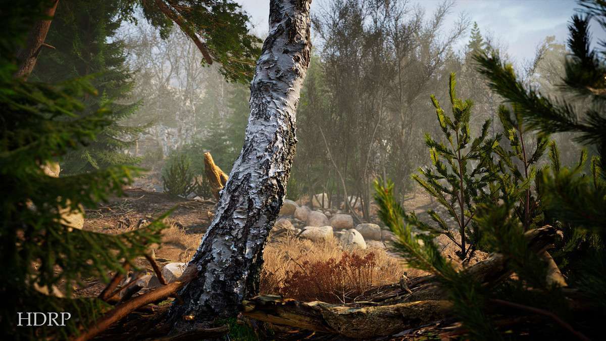 Real Landscapes – Valley Forest Screenshot {loop_index}
