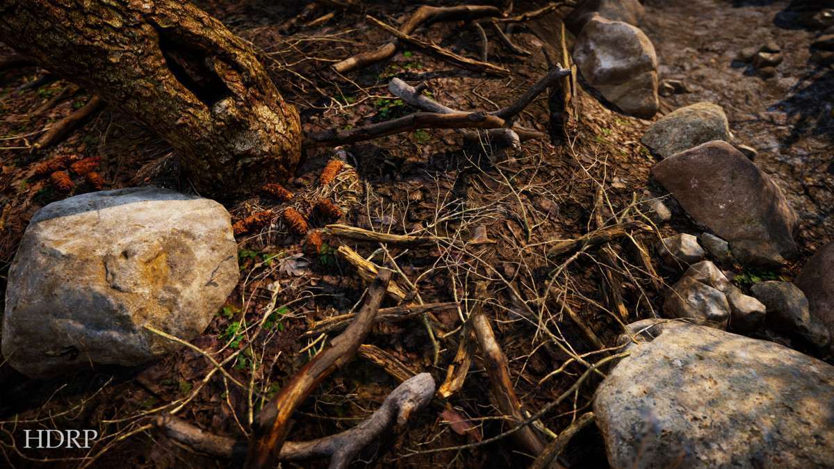 Real Landscapes – Valley Forest Screenshot {loop_index}