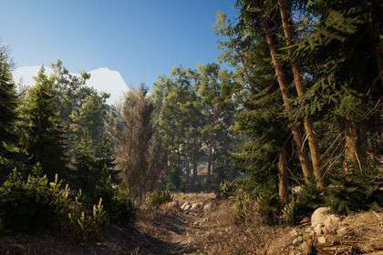 Real Landscapes – Valley Forest Free Download