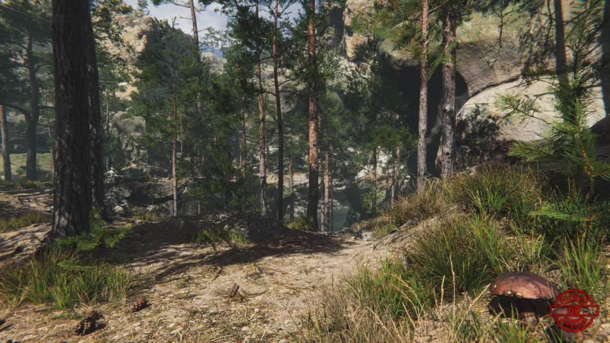 Mountain Environment – Dynamic Nature Screenshot {loop_index}