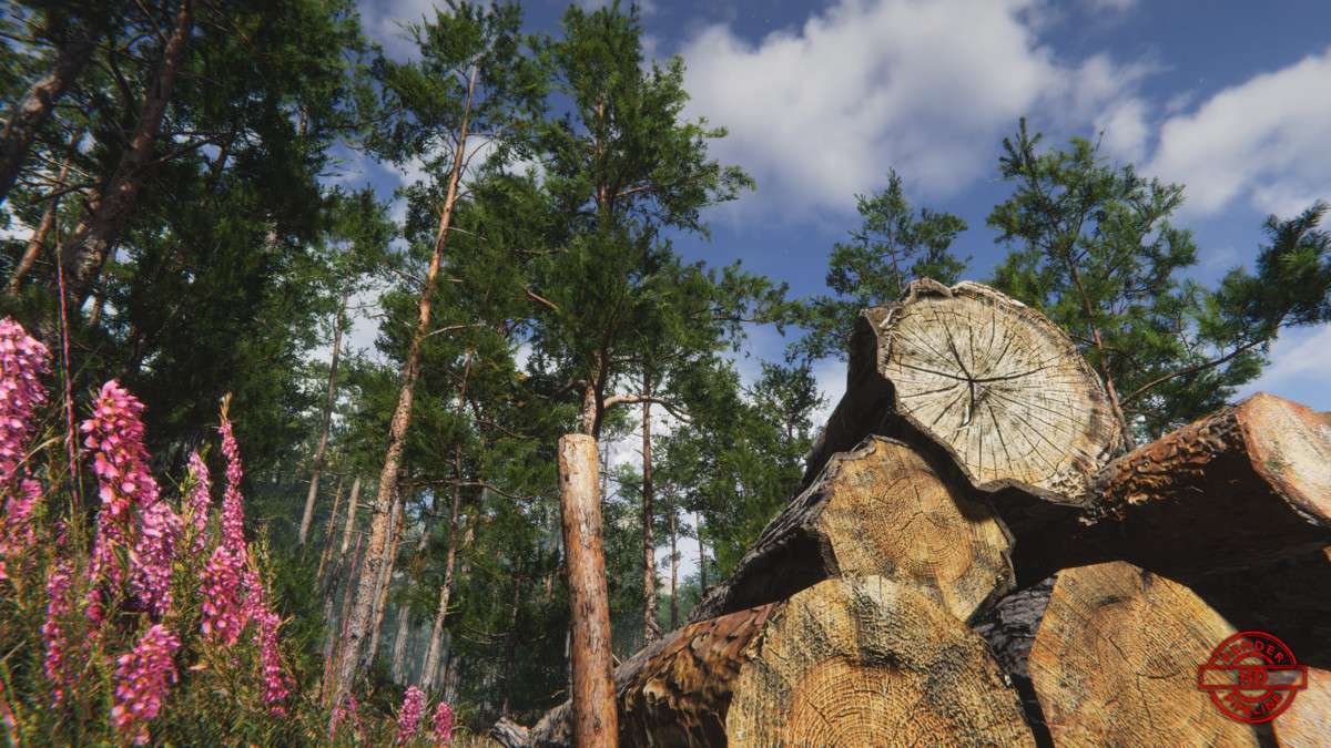 Mountain Environment – Dynamic Nature Screenshot {loop_index}