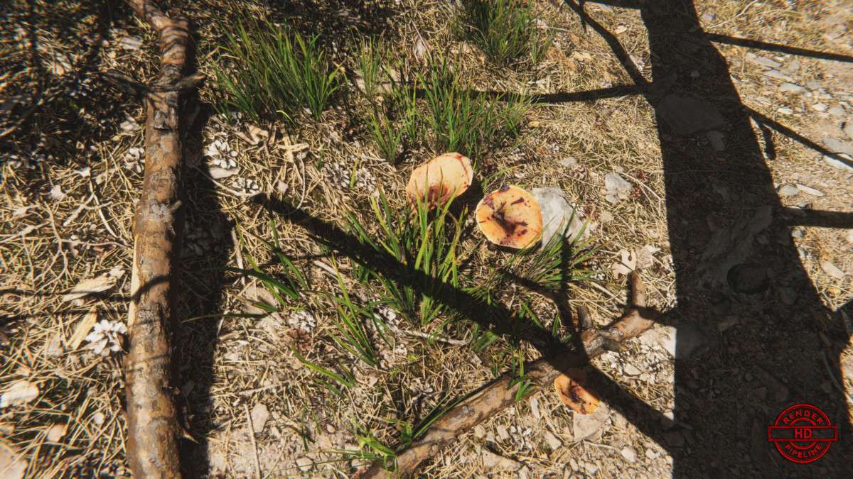 Mountain Environment – Dynamic Nature Screenshot {loop_index}