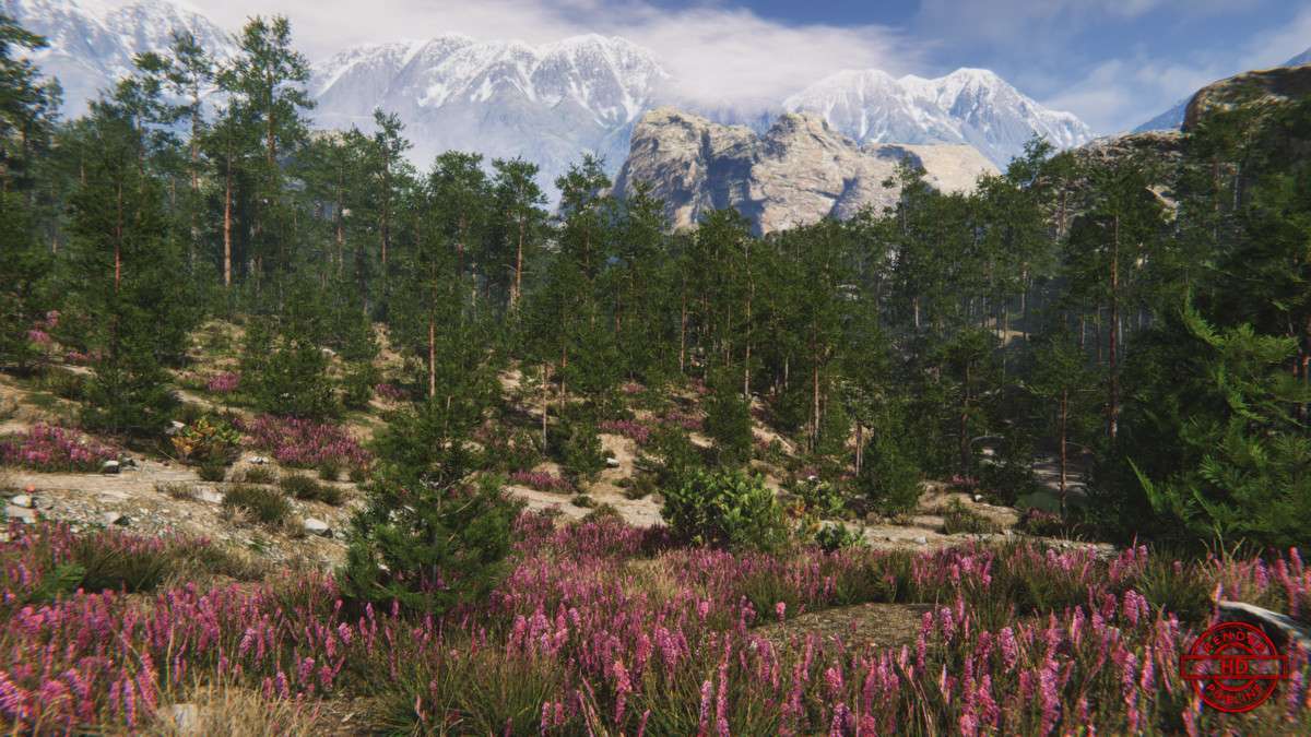 Mountain Environment – Dynamic Nature Screenshot {loop_index}