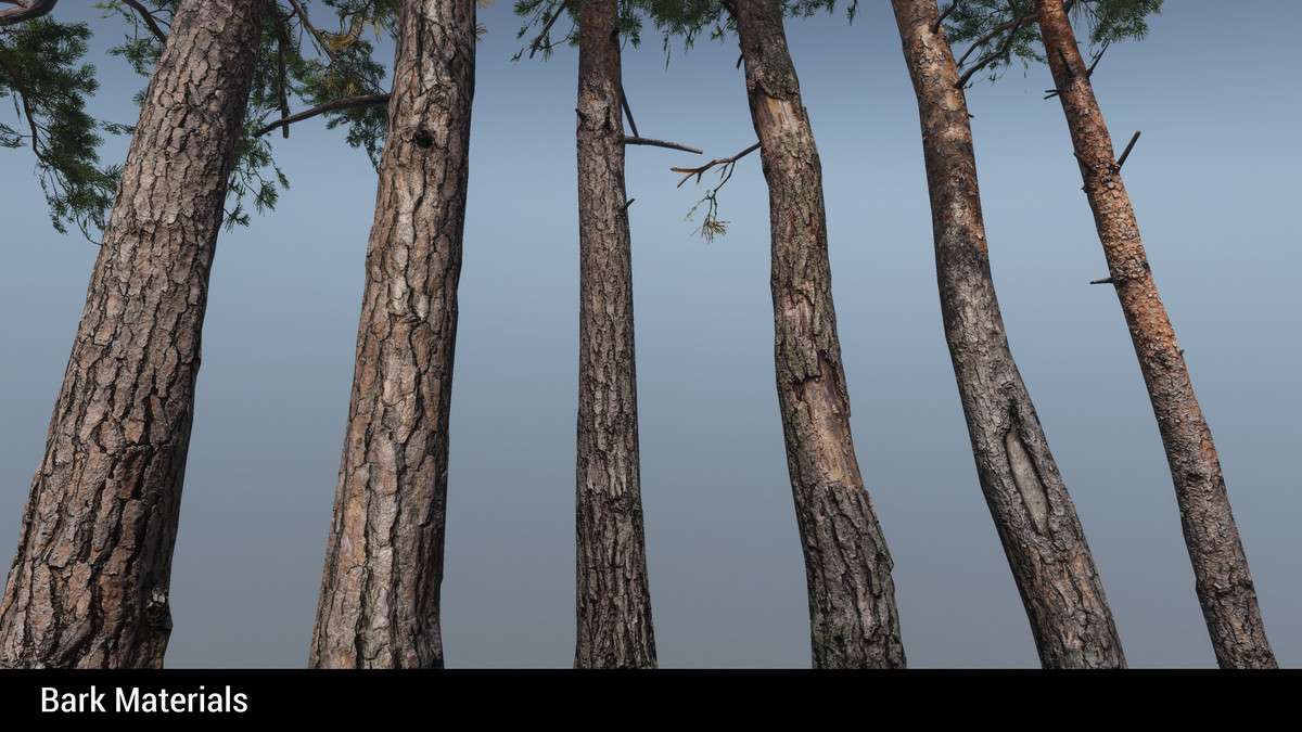 Mountain Environment – Dynamic Nature Screenshot {loop_index}