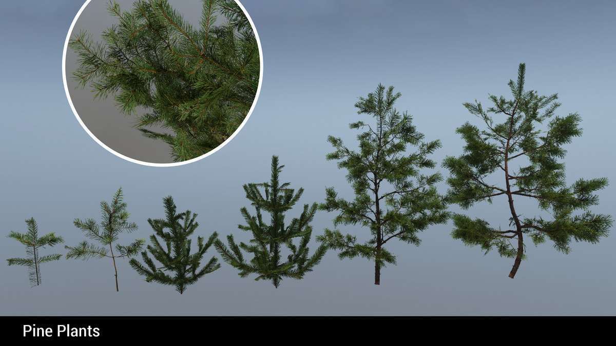 Mountain Environment – Dynamic Nature Screenshot {loop_index}