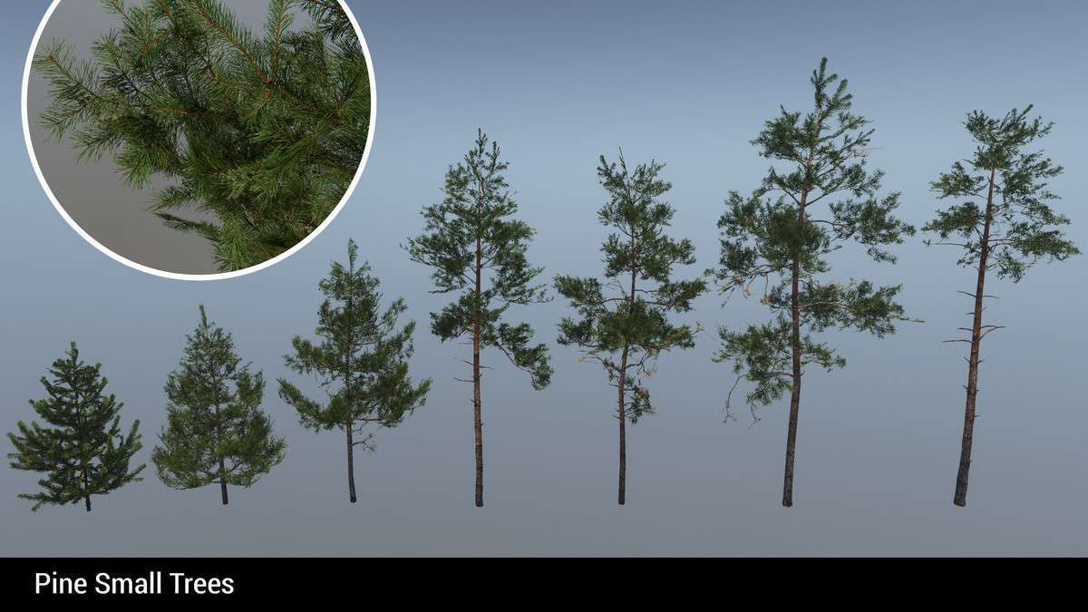 Mountain Environment – Dynamic Nature Screenshot {loop_index}