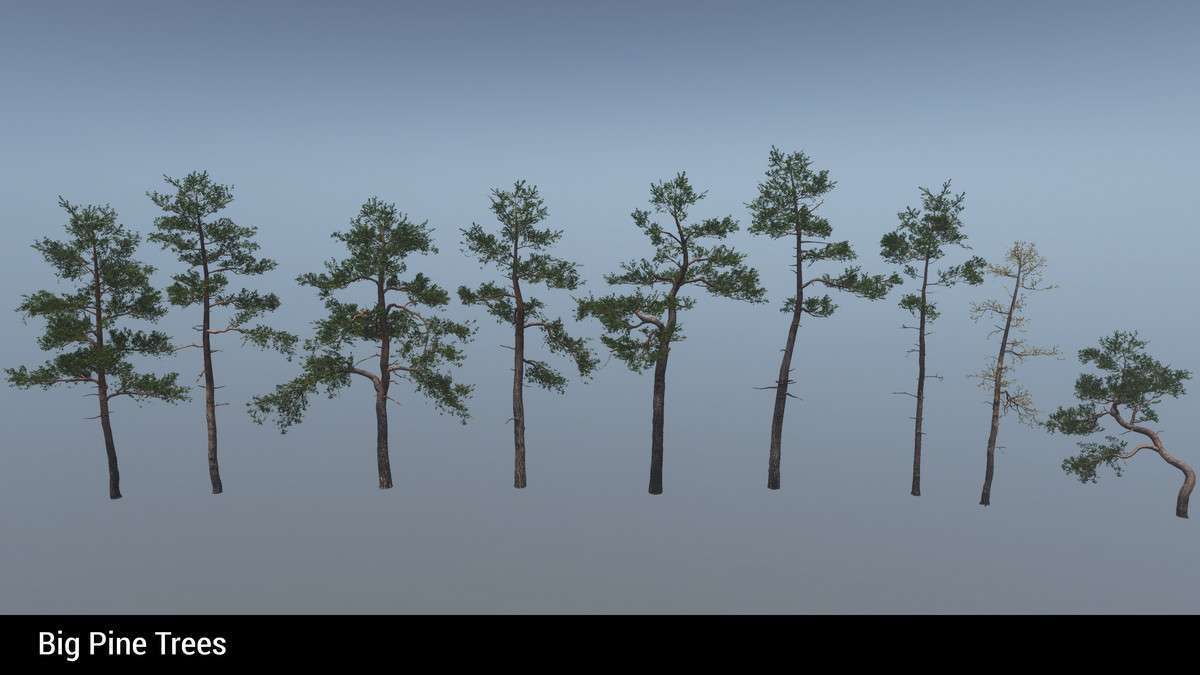Mountain Environment – Dynamic Nature Screenshot {loop_index}