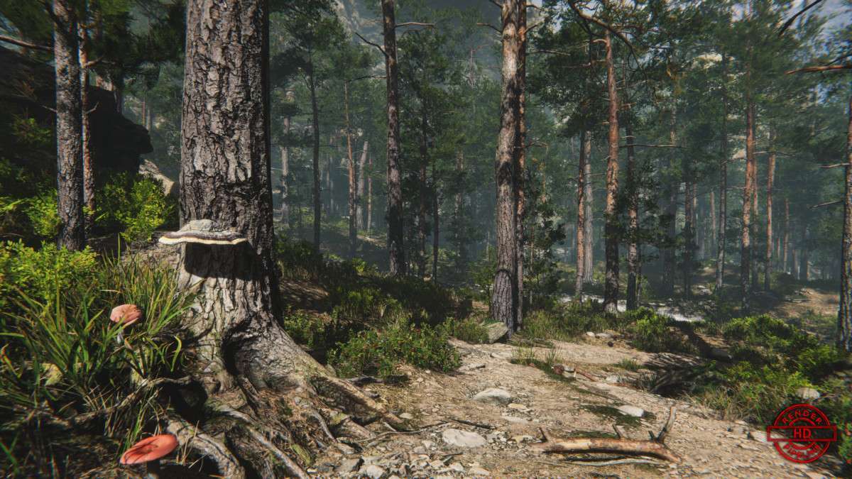 Mountain Environment – Dynamic Nature Screenshot {loop_index}
