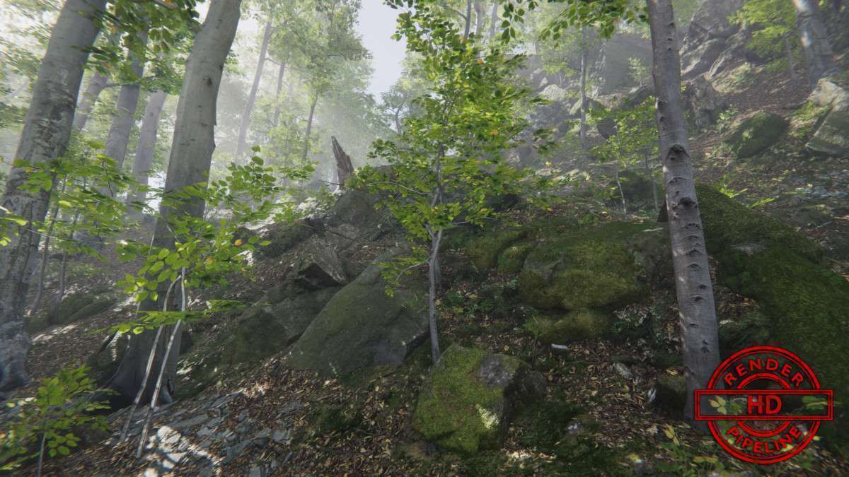 Forest Environment – Dynamic Nature Screenshot {loop_index}