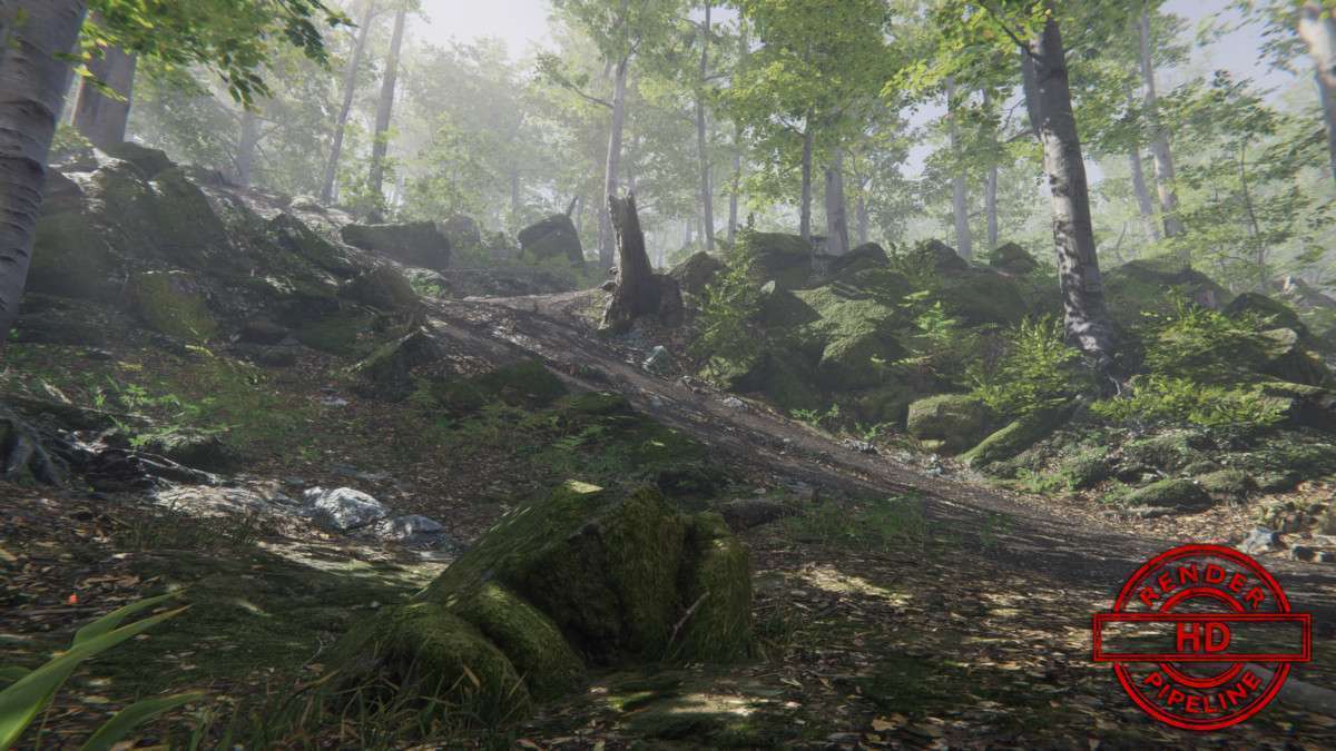 Forest Environment – Dynamic Nature Screenshot {loop_index}