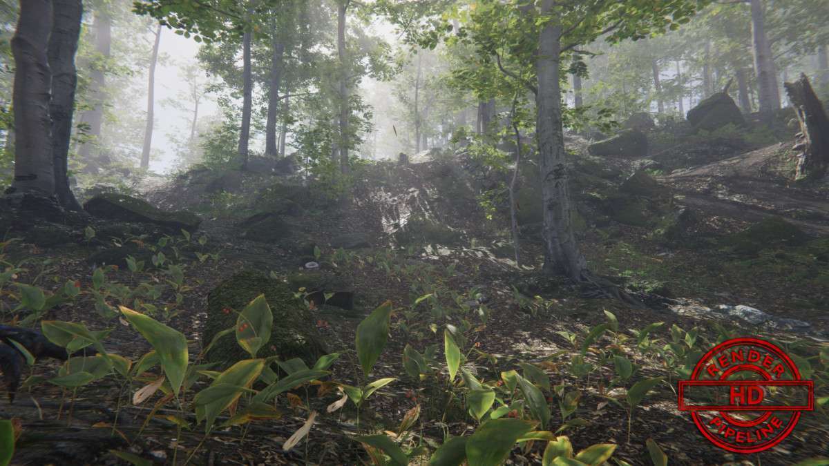 Forest Environment – Dynamic Nature Screenshot {loop_index}