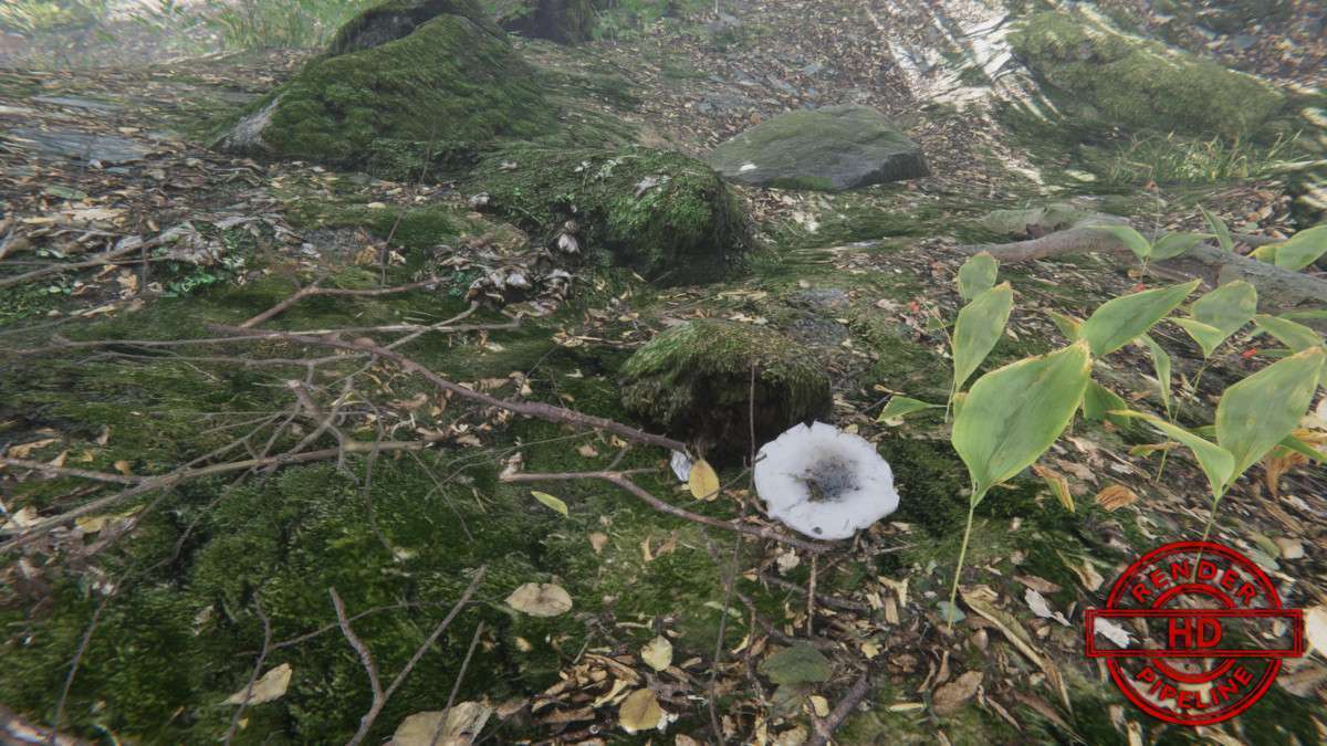 Forest Environment – Dynamic Nature Screenshot {loop_index}