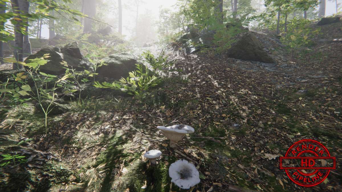 Forest Environment – Dynamic Nature Screenshot {loop_index}