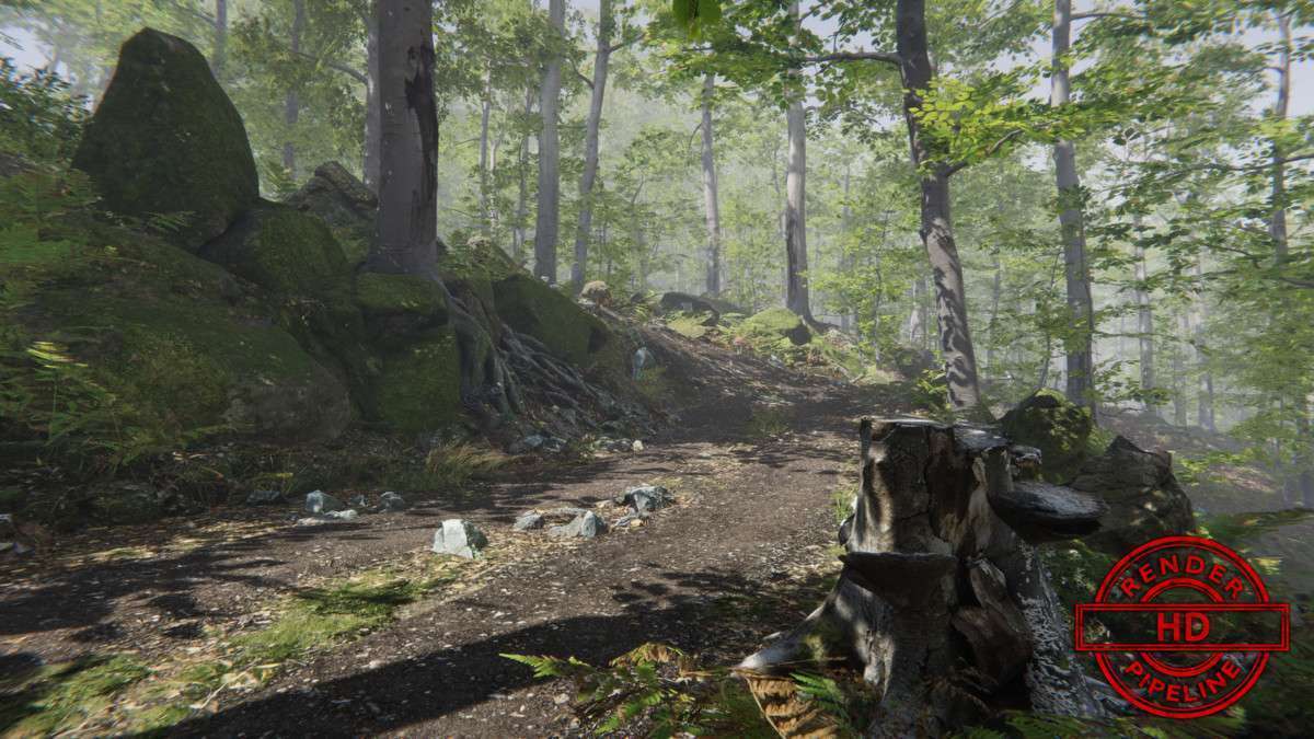 Forest Environment – Dynamic Nature Screenshot {loop_index}