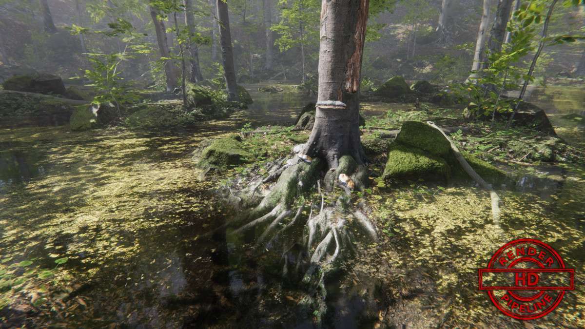Forest Environment – Dynamic Nature Screenshot {loop_index}