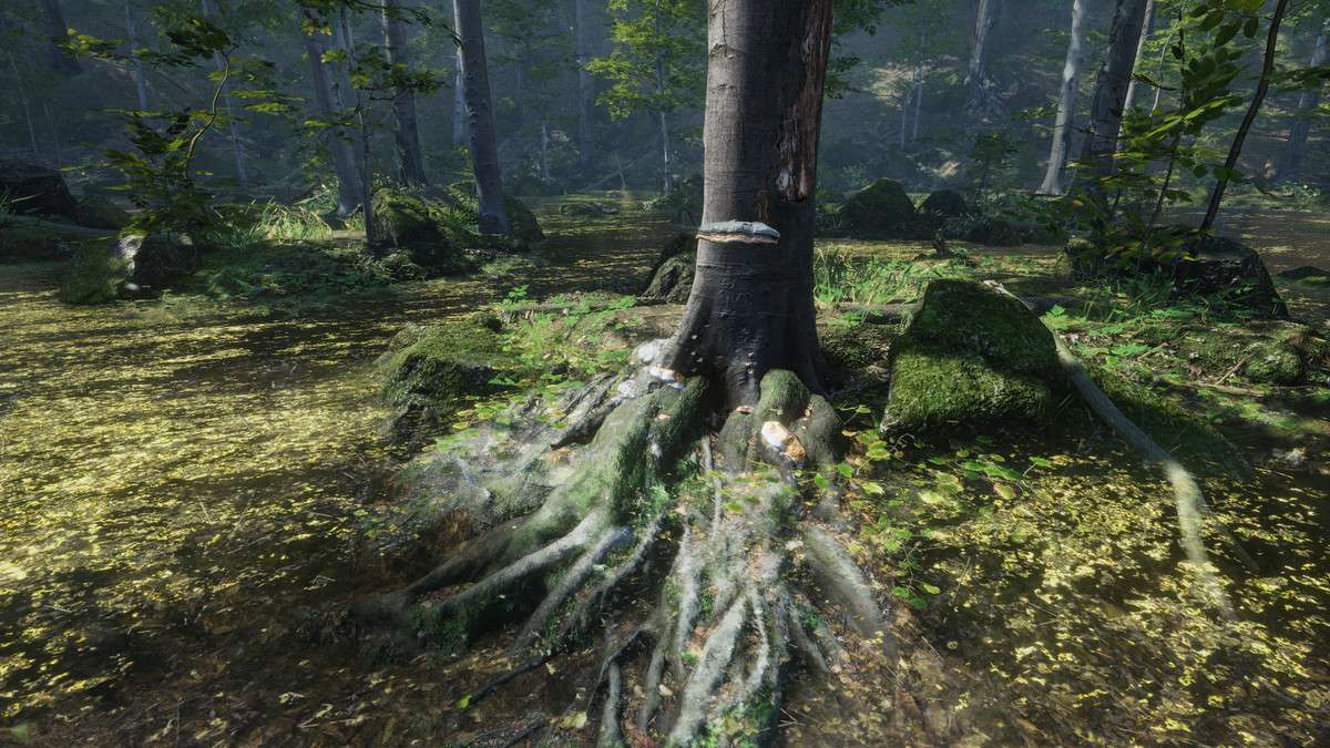 Forest Environment – Dynamic Nature Screenshot {loop_index}