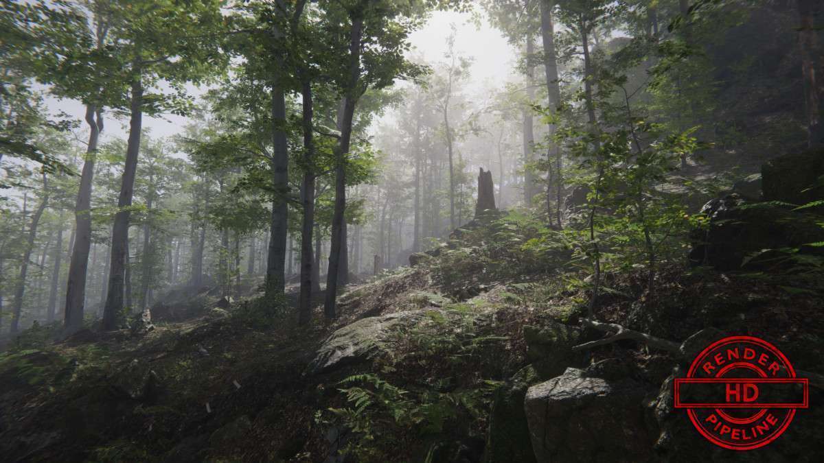 Forest Environment – Dynamic Nature Screenshot {loop_index}