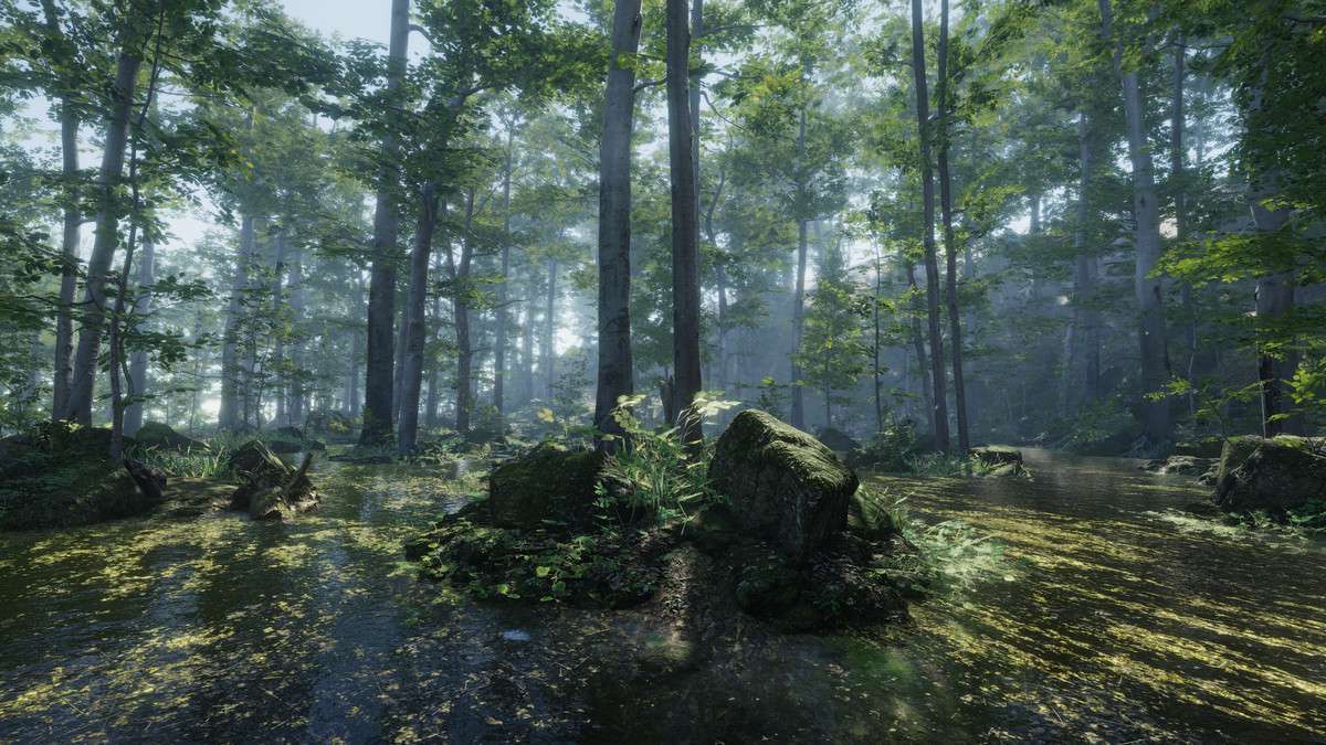 Forest Environment – Dynamic Nature Screenshot {loop_index}