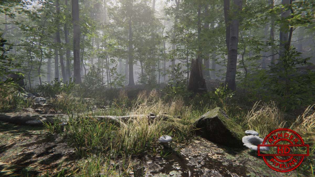 Forest Environment – Dynamic Nature Screenshot {loop_index}