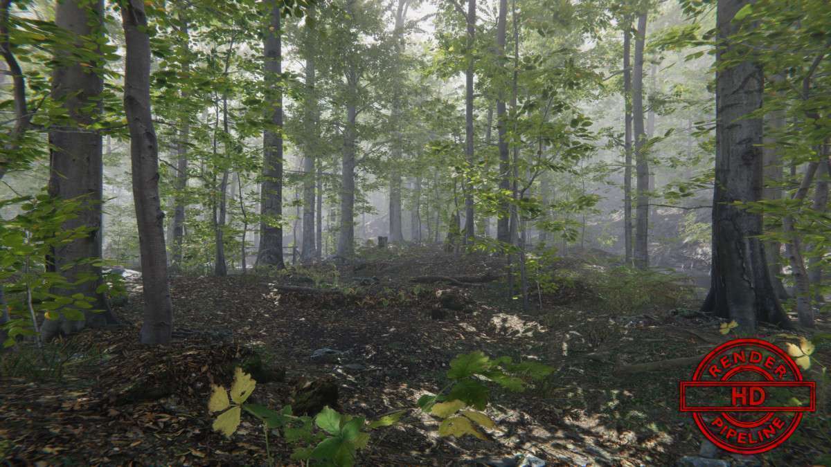 Forest Environment – Dynamic Nature Screenshot {loop_index}