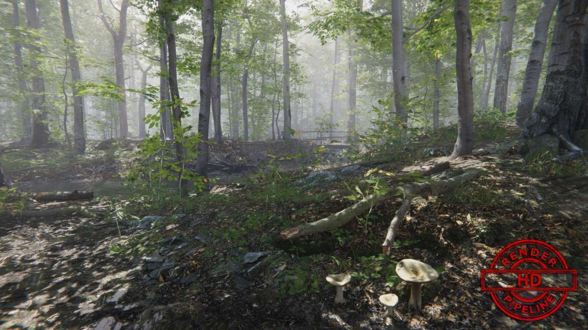 Forest Environment – Dynamic Nature Screenshot {loop_index}