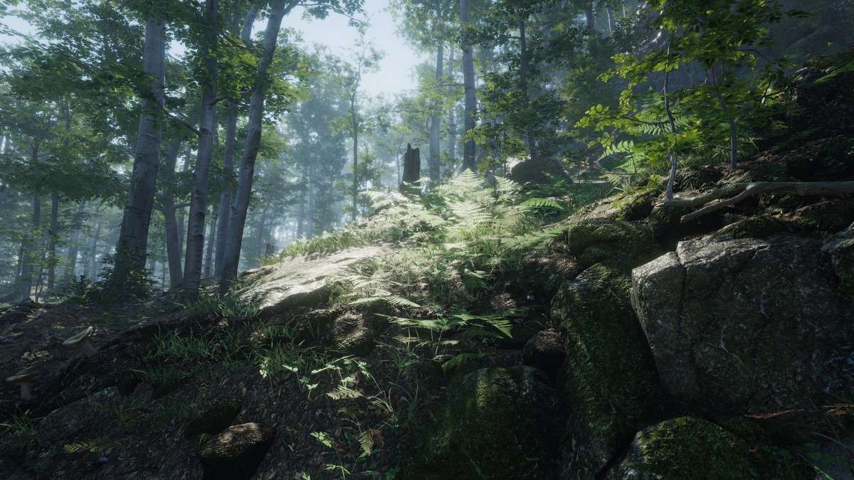 Forest Environment – Dynamic Nature Screenshot {loop_index}