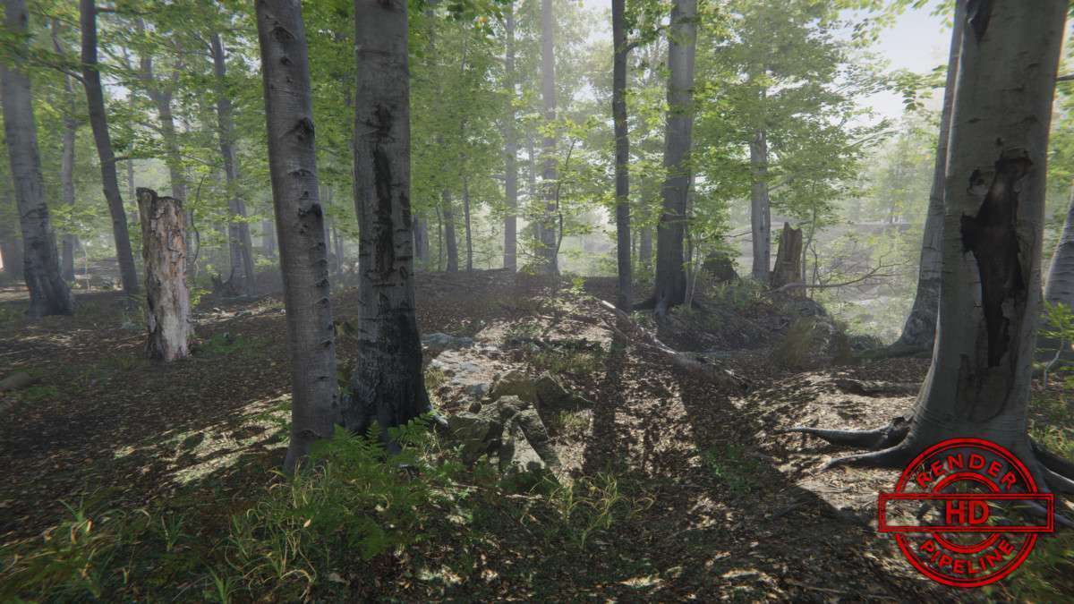 Forest Environment – Dynamic Nature Screenshot {loop_index}