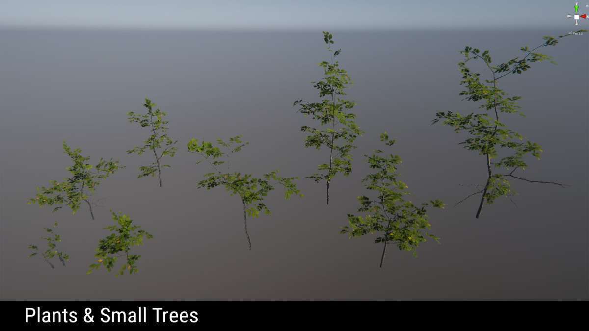 Forest Environment – Dynamic Nature Screenshot {loop_index}