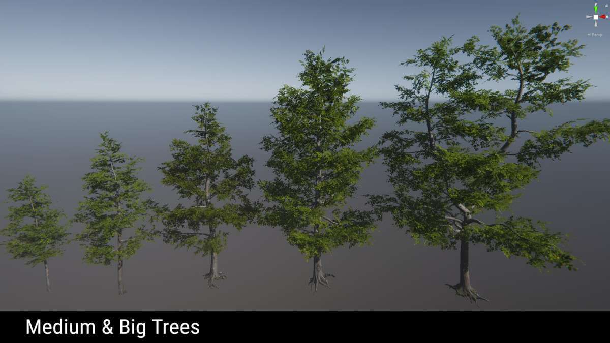 Forest Environment – Dynamic Nature Screenshot {loop_index}