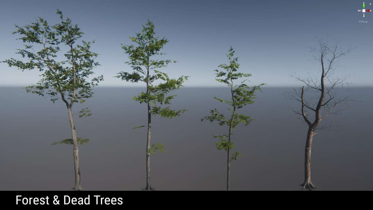 Forest Environment – Dynamic Nature Screenshot {loop_index}