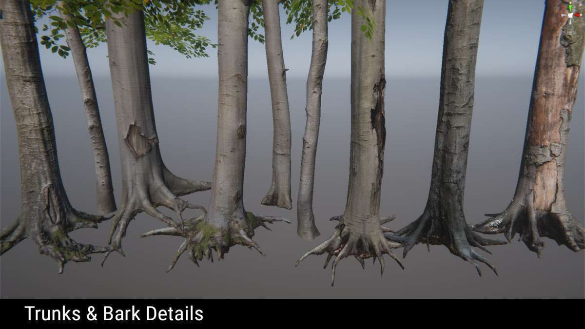 Forest Environment – Dynamic Nature Screenshot {loop_index}